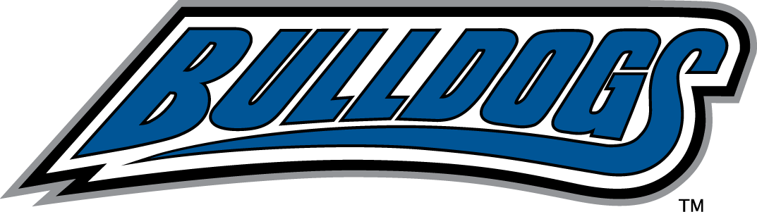 North Carolina Asheville Bulldogs 1998-Pres Wordmark Logo v2 iron on transfers for clothing